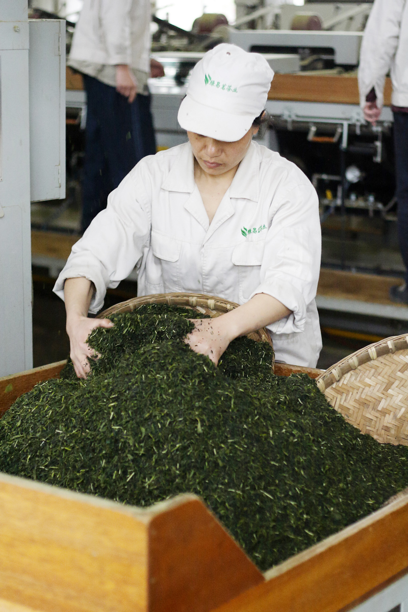 Meng Ding Shan Finished Tea