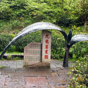 Cesta do pravlasti čaju (časť prvá)