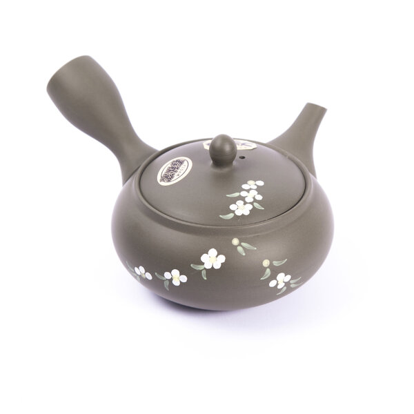 Kyusu tokoname 19 - kyusu-tokoname-19
