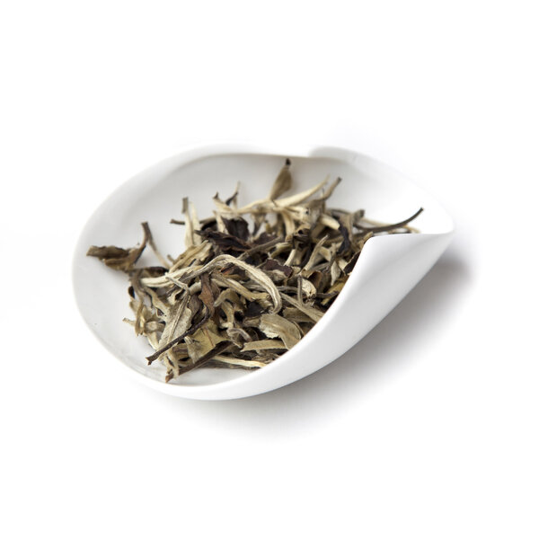 Yue guang bai - yue-guang-bai