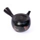 Kyusu tokoname 46 - kyusu-tokoname-46-o