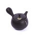 Kyusu tokoname 5 - kyusu-tokoname-5