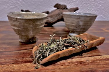 Čaje z Darjeelingu