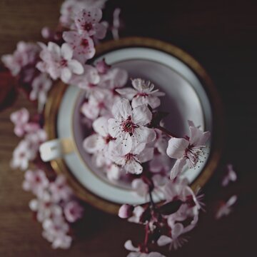 Zľava 10% s kódom TEASHOP23