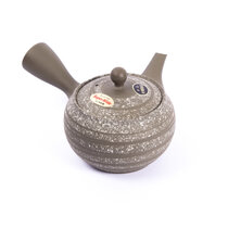 Kyusu Tokoname 13