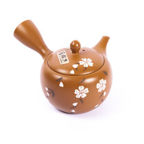 Kyusu Tokoname 18