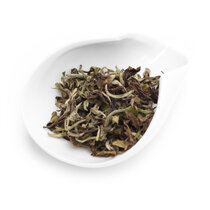 Darjeeling Rohini Spring Beauty